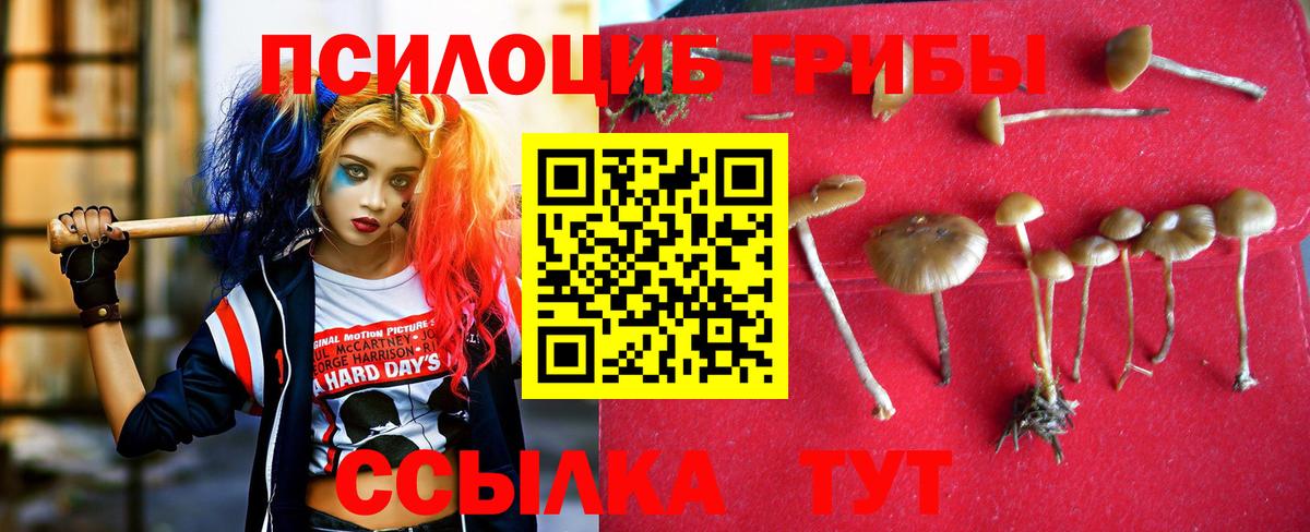 Псилоцибиновые грибы Psilocybe  Псилоцибиновые грибы MAGIC MUSHROOMS  Вход с VPN  Рубцовск 